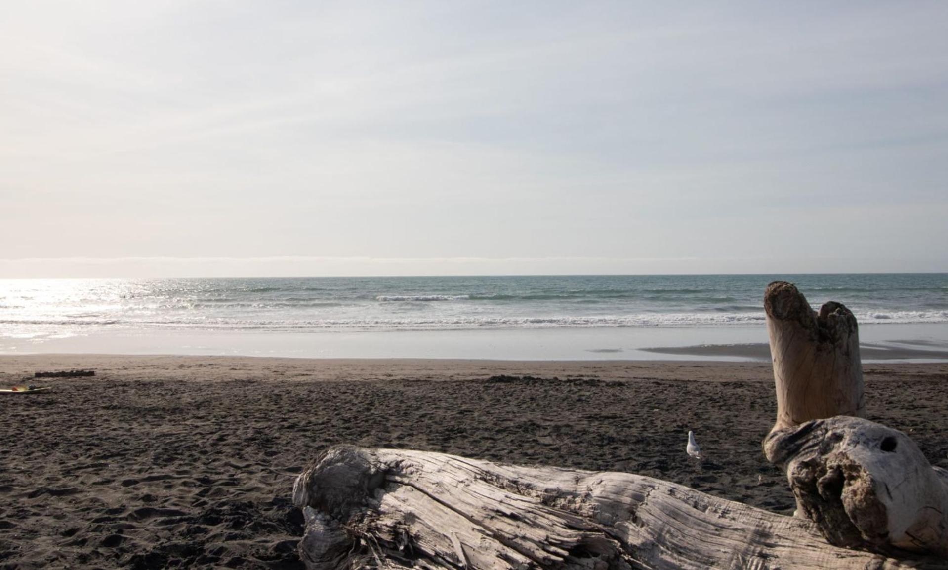 The Dunes At Fitzroy Beach Unit 2 New Plymouth Extérieur photo